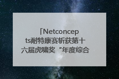 Netconcepts耐特康赛斩获第十六届虎啸奖“年度综合服务商”大奖