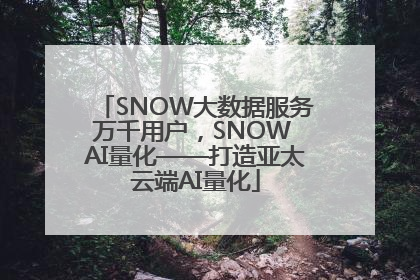 SNOW大数据服务万千用户，SNOW AI量化——打造亚太云端AI量化